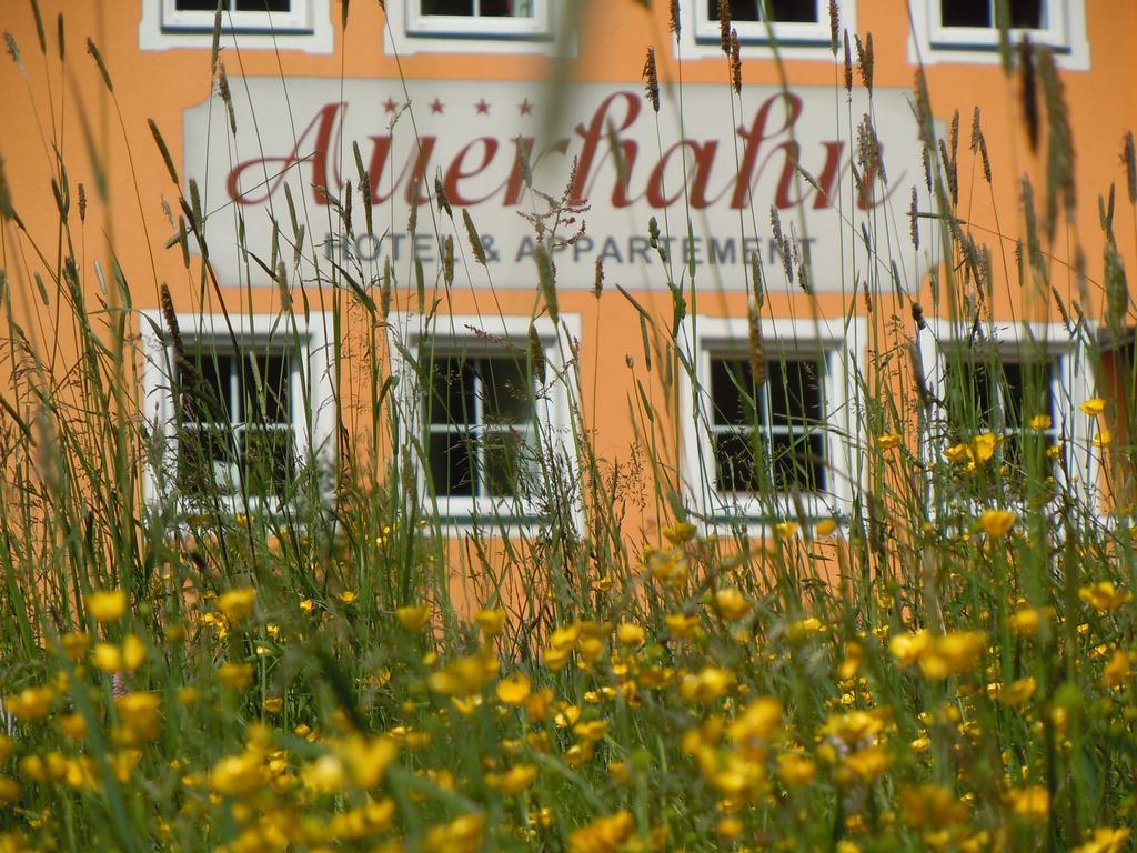Hotel & Appartement Auerhahn Obertauern Bagian luar foto